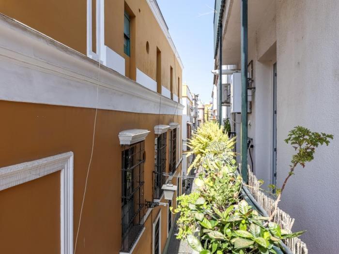 Appartement San Vicente